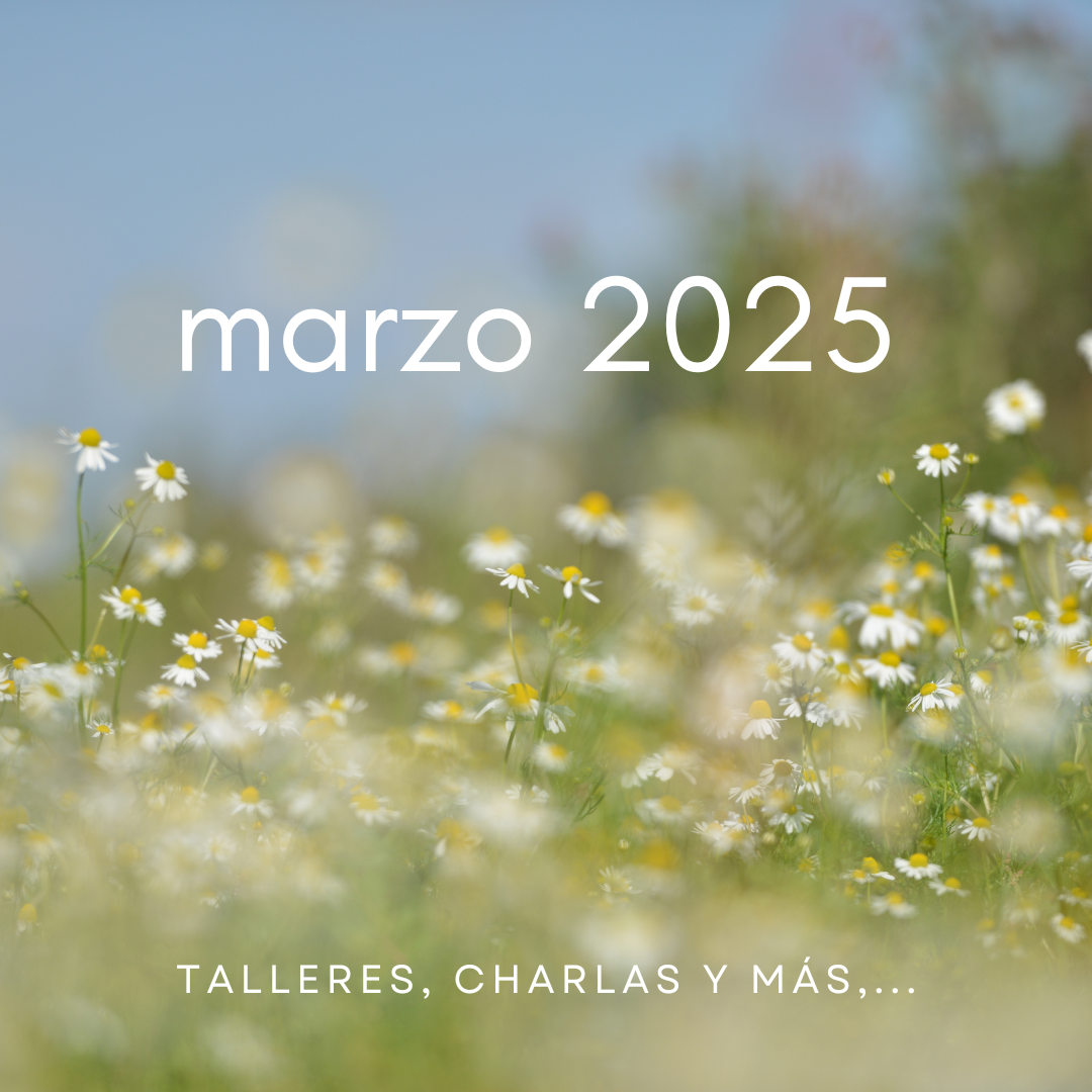 MARZO 2025. Talleres, charlas y más,…